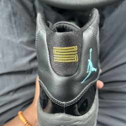 Gamma 11s 