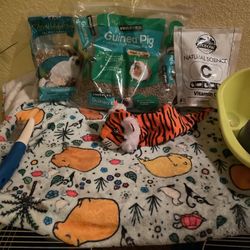 Guinea Pig Items and accessories.