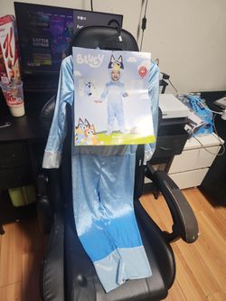 Bluey costume
