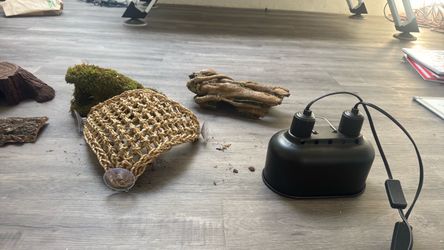 Reptile hides and a light and heater
