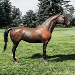 Breyer 1998 Bay Brown Erin Go Bragh Connemara Thoroughbred Cross Gelding 715/155