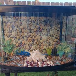 30 gallons fish tank