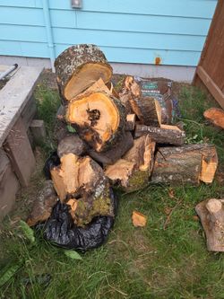 Free Cherry tree log sections