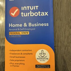 TurboTax 2025