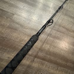 Daiwa Proteus Like New 2XH 7’4” H 80-150 Salt Water Fishing Rail Rod. 