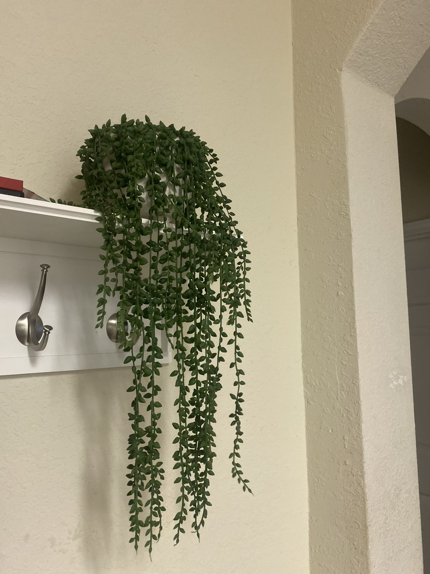Fake Plants