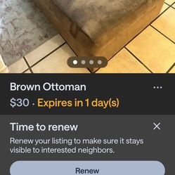 Brown Ottoman