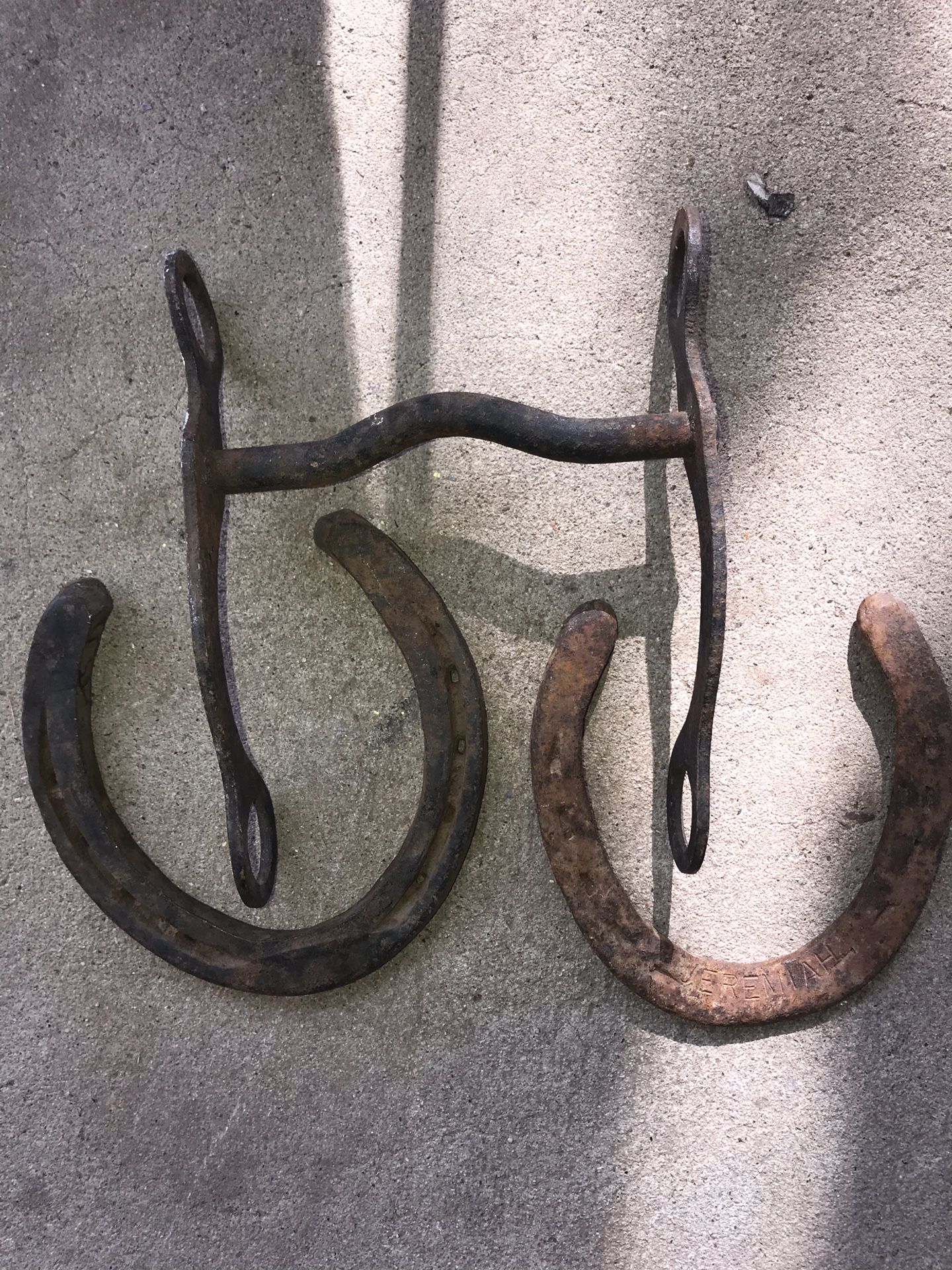 Western bit and two horseshoes
