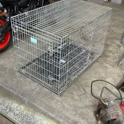 Kennel - Crate 