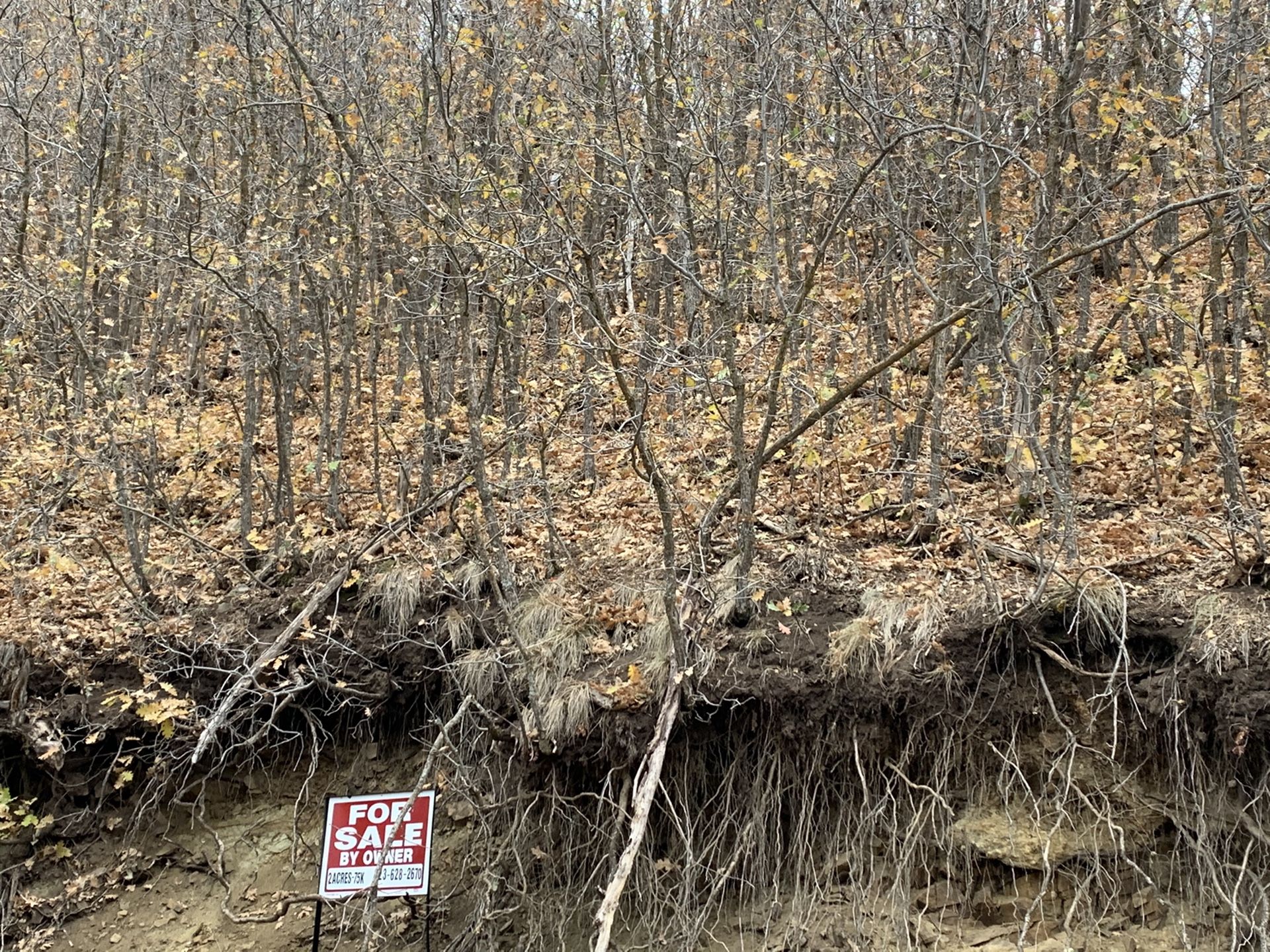 2 acre lot