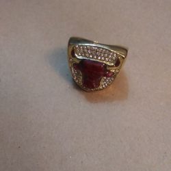 Chicago Bulls 1993 Replicia Championship ring Size 12vmen