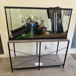 55gal Fish Tank 