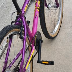 26" Haro Cruiser 