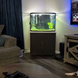 36 Gallon Bow Front And Stand