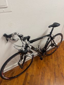 Fuji Professional