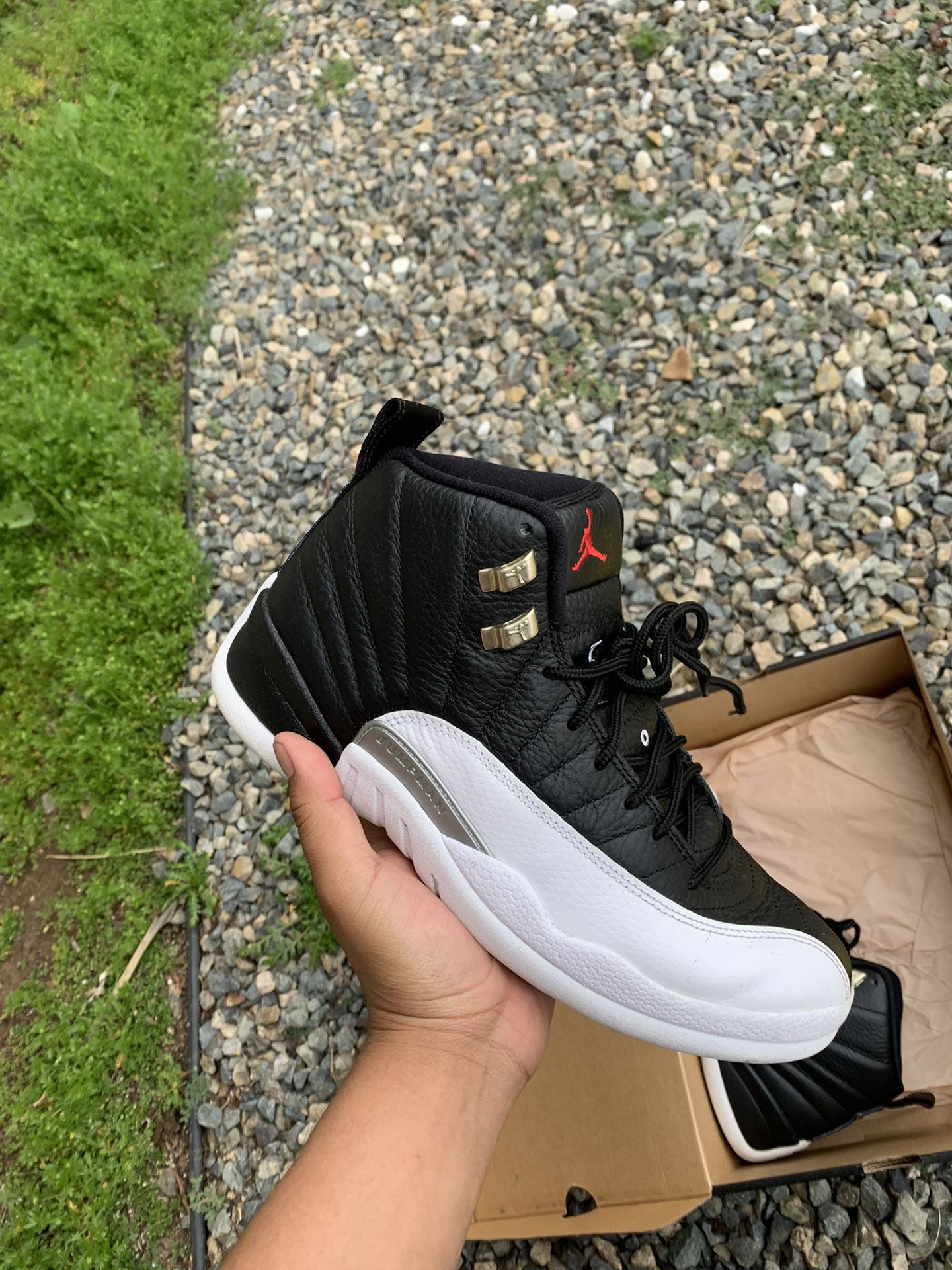 Jordan 12 Playoff