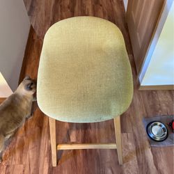 Light Green Stool/chair