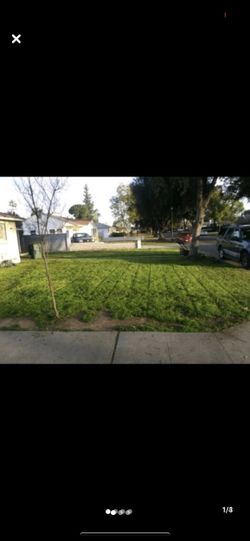 Lawn & gardening