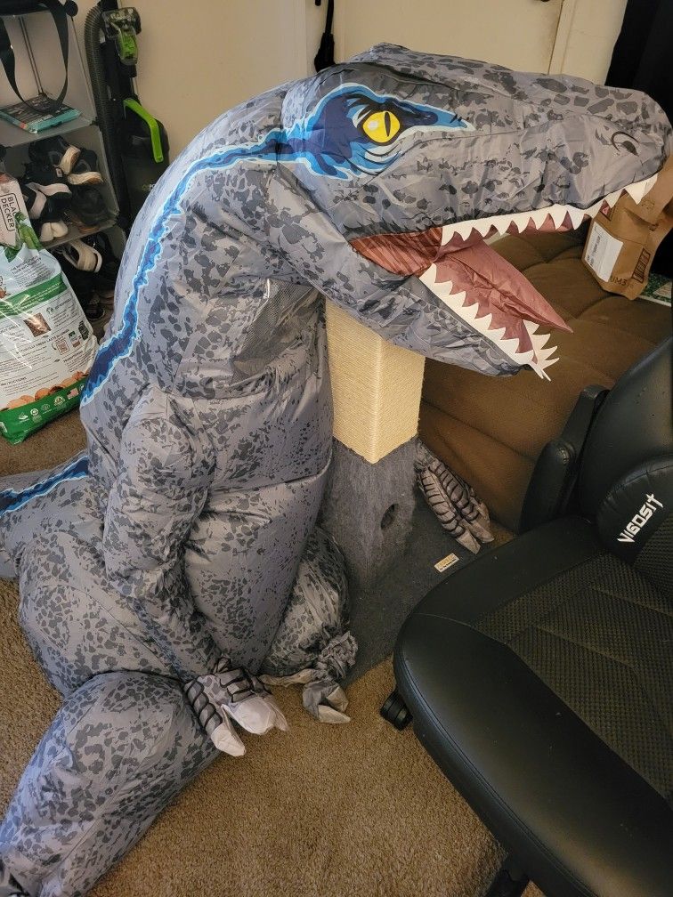 Dinosaur π¦  Custome