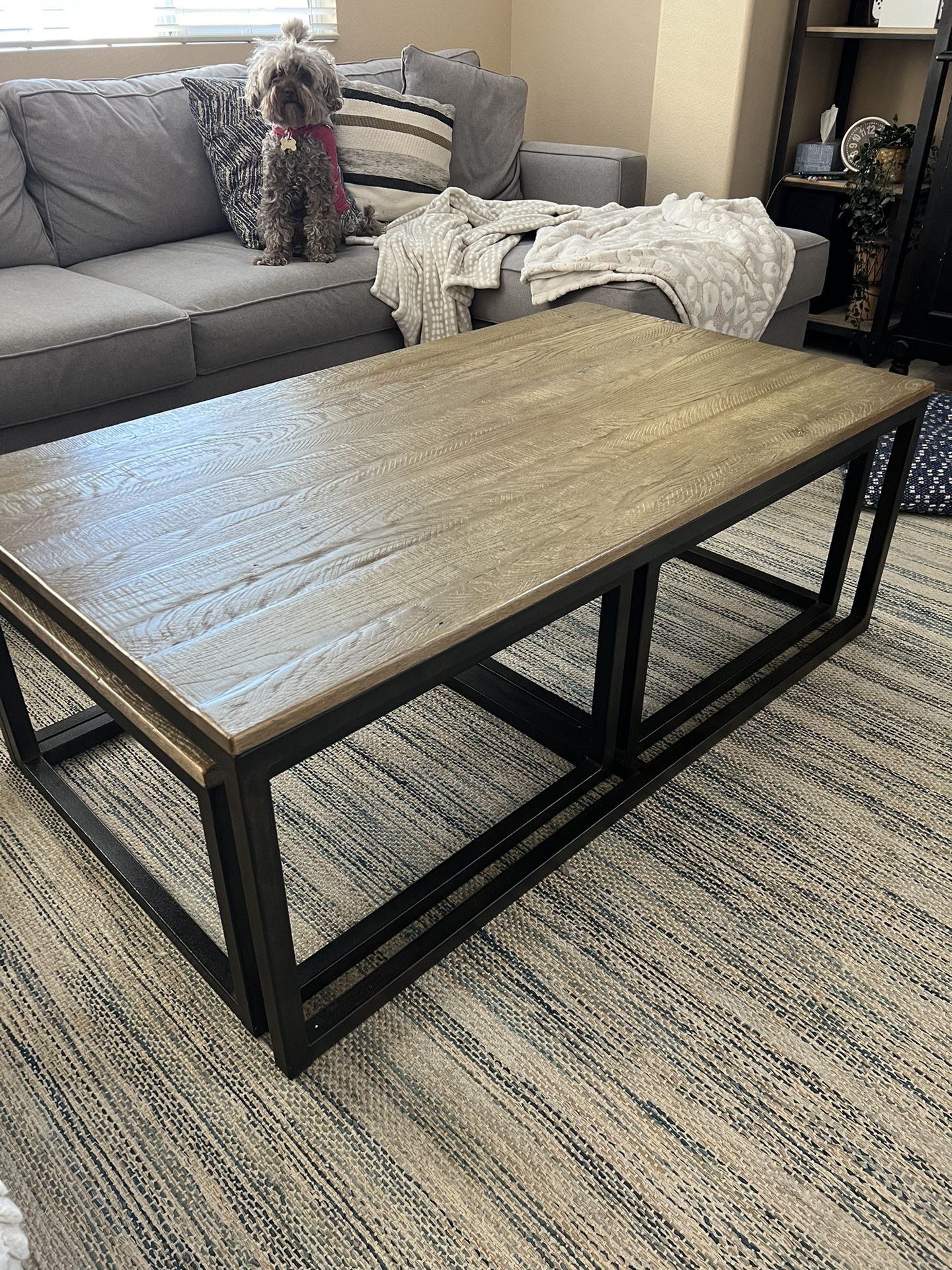 Arhaus palmer nesting coffee table discount