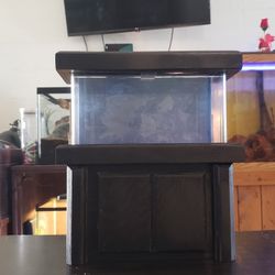 Custom Acrylic Betta Tank With Custom Stand  & Canopy