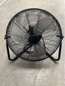 Fan