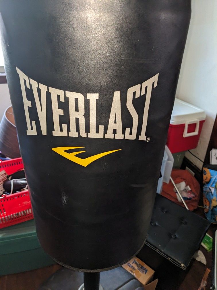 Punching Bag Big