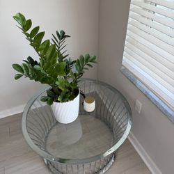 Circular Glass Table *must go*