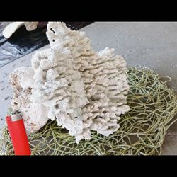 LARGE WHITE CORAL TREE DECOR