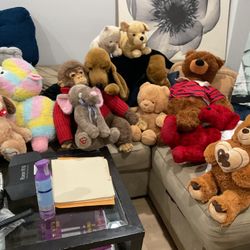 About 13 Stuffed Animals, All In Good Condition  ( All For Only $25) ( NO SHIPPING)