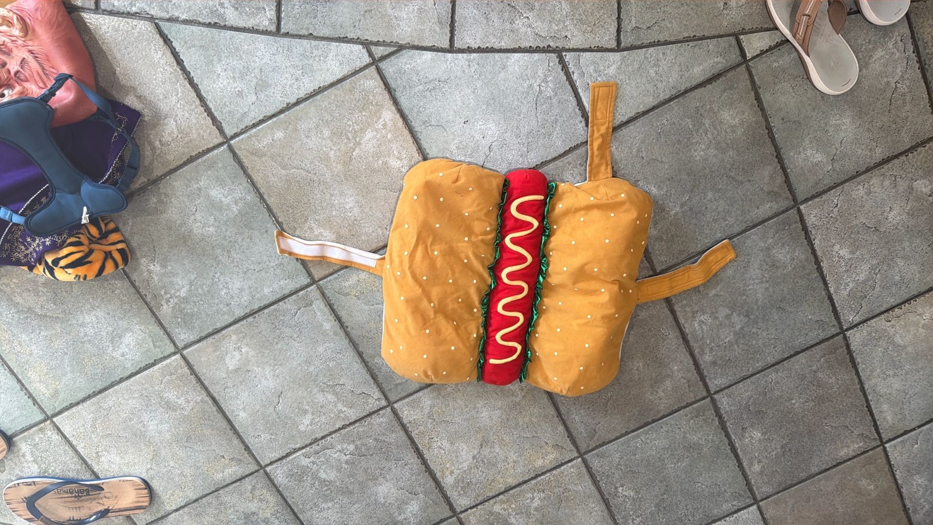 Halloween dog costume