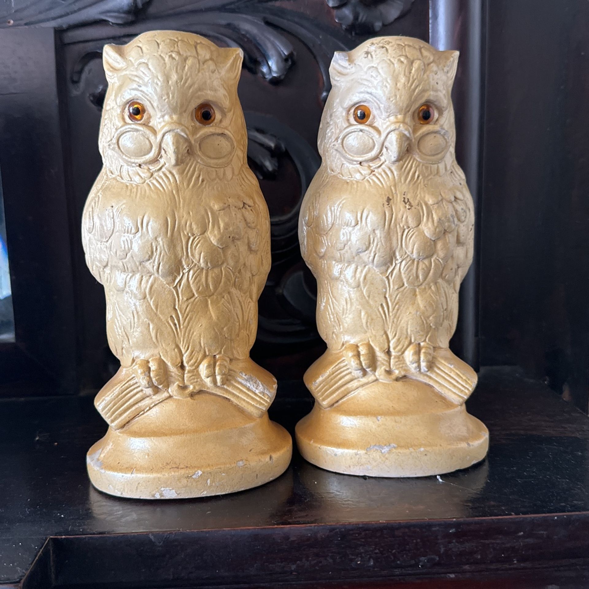Pair Of Owl Cans Holders