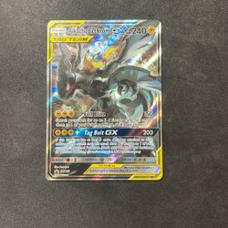 Pikachu Zekrom