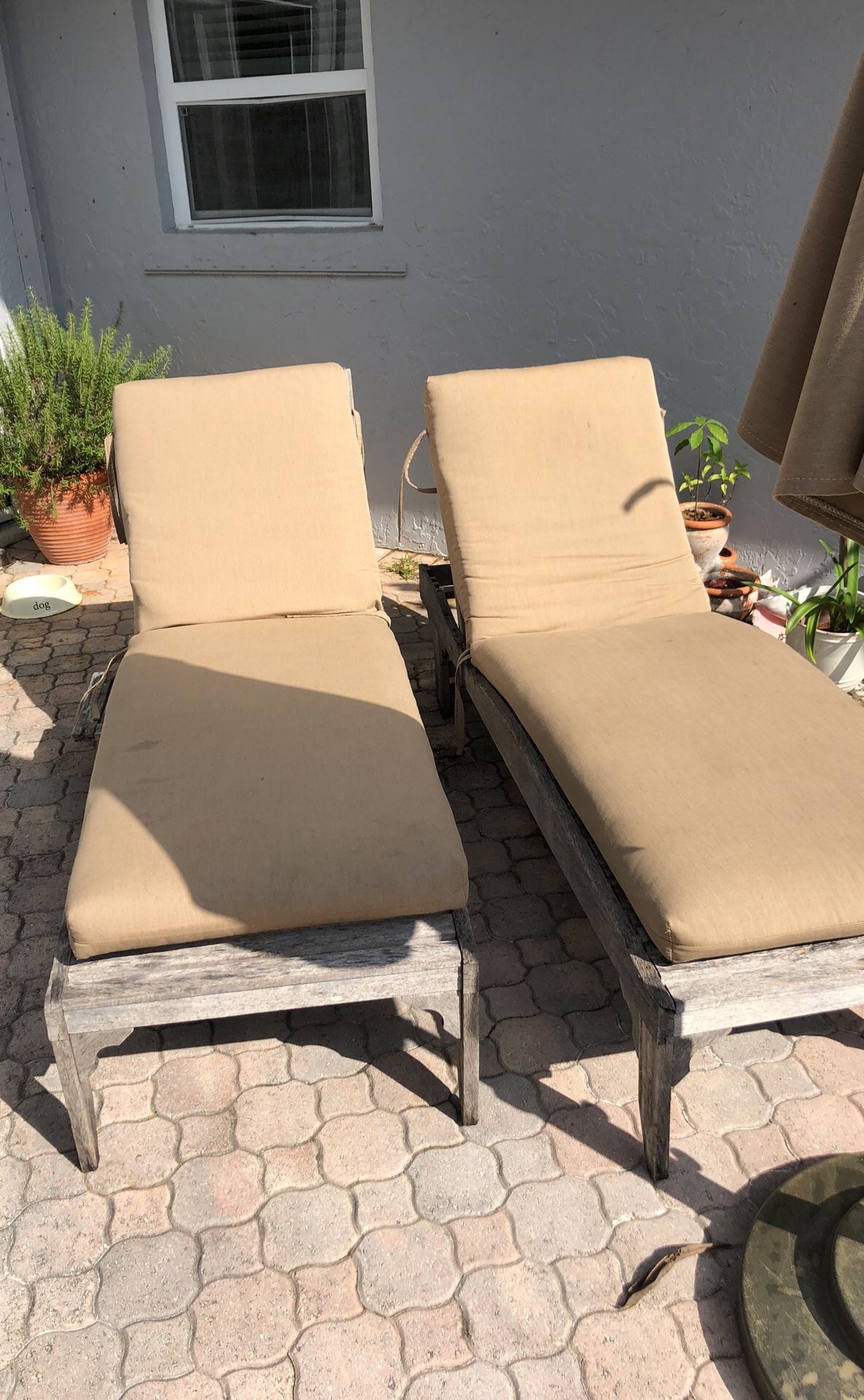 4 Sunbrella sun lounger cushions for chaise lounges for Sale in Delray