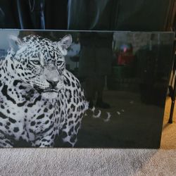 Leopard Portrait 4ft Wide
