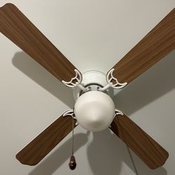 Kids ceiling fan