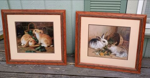 Vintage Framed Bunny Prints (Matching Set of 2)