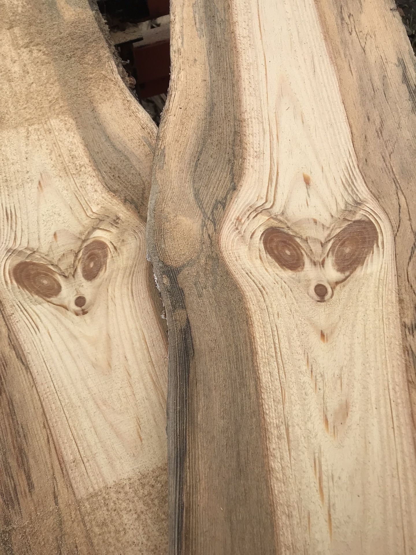 Live Edge Blue Pine