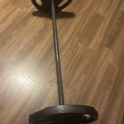 Weight Bar With 45 Pounds Plates