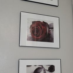 Make Offer Must Go Today 