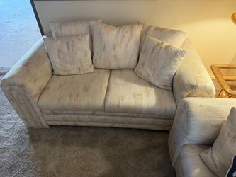 Cream/White Colored Couch
