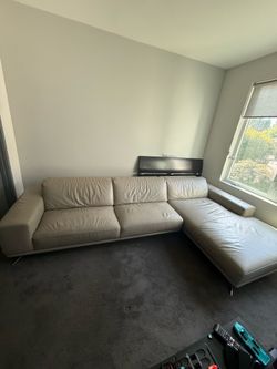 Roche bobois couch