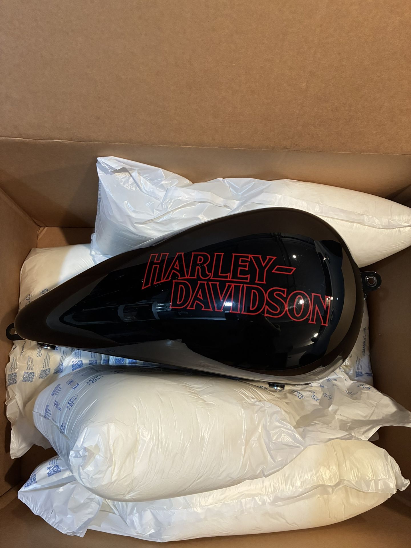 2025 Harley Davidson Lowrider ST Gas tank