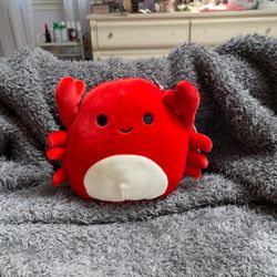 Carlos Squish 5 Inch 