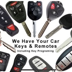 All Kind Of Car Keys.