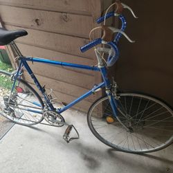 1973 FUJI Special Road Racer 