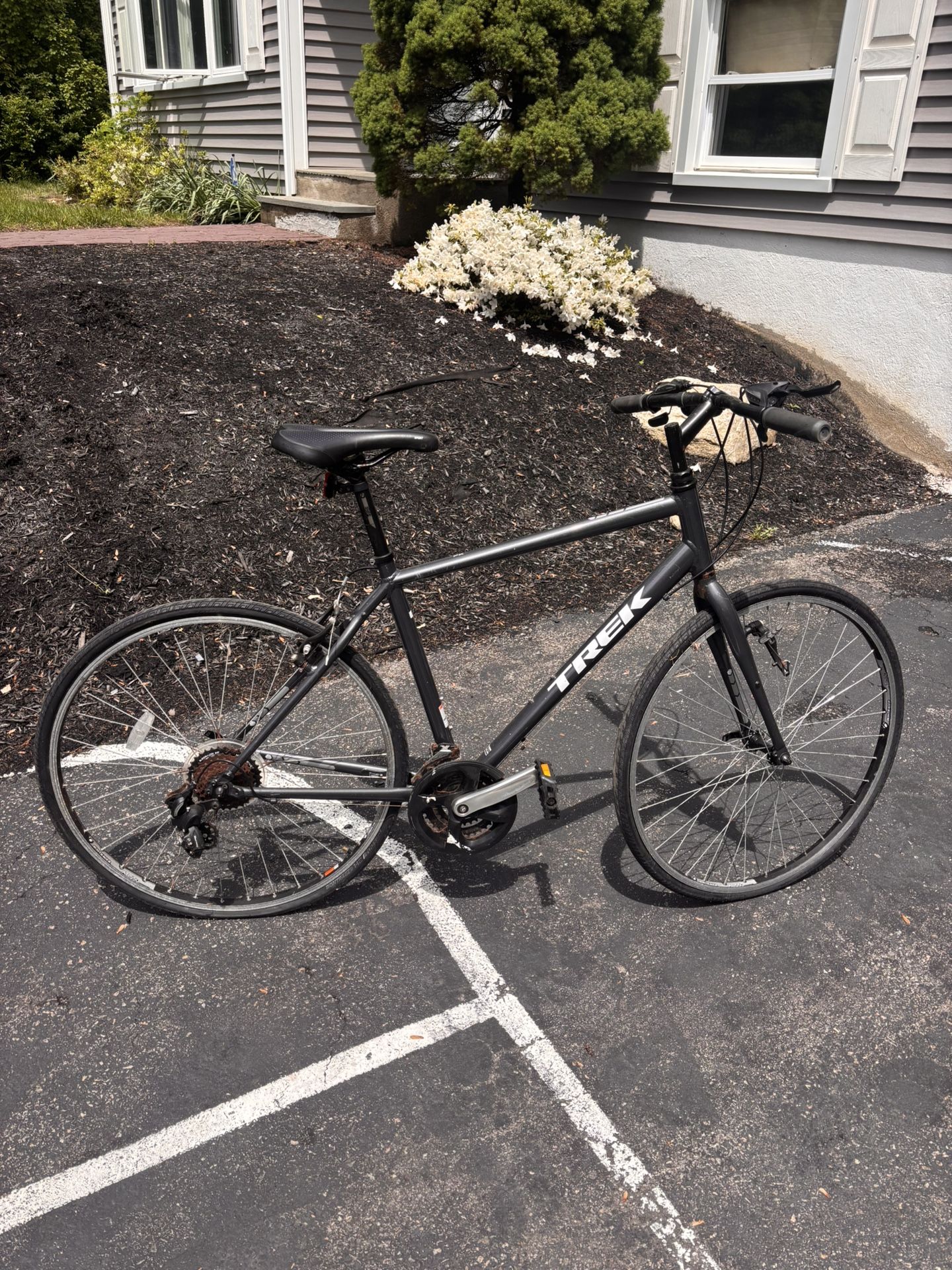 Trek FX Mountain Bike