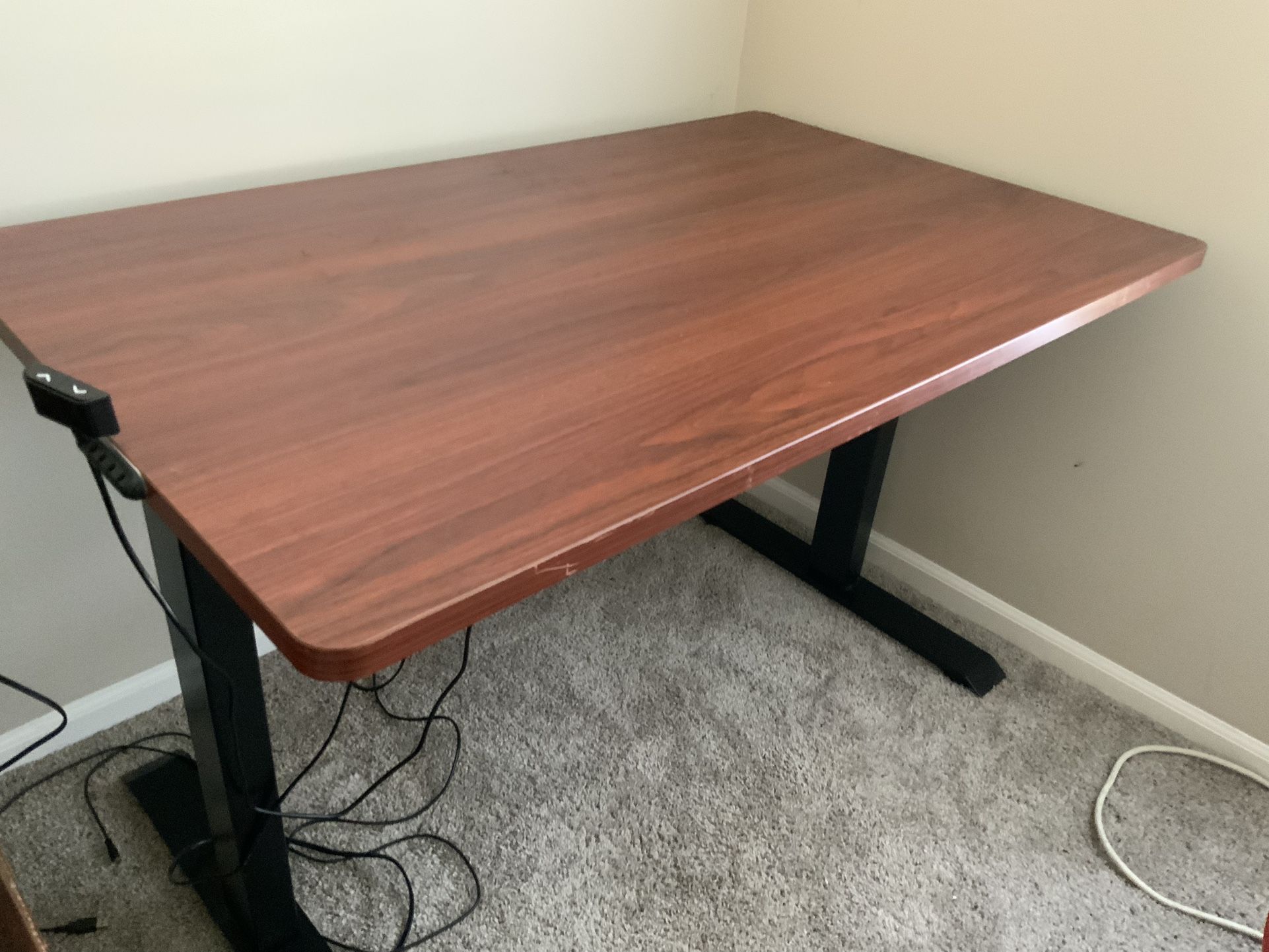 48” x 30” Wood Standing Desk