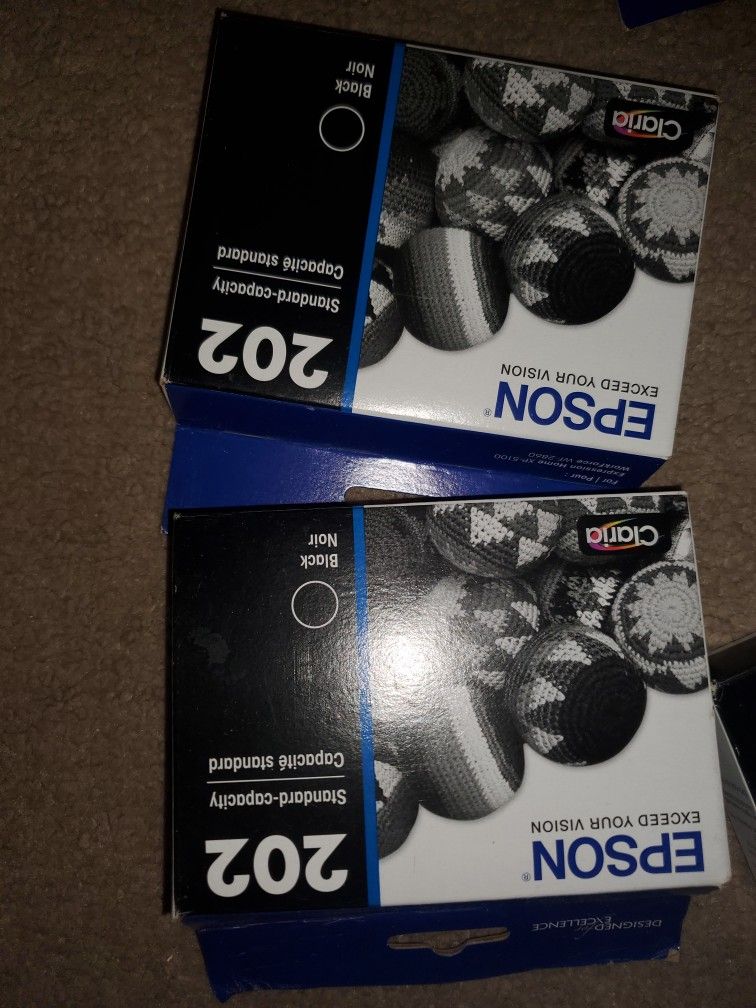 Epson Ink 202 Ink