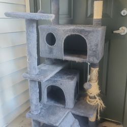 Kitty Carpet Tree Hangout